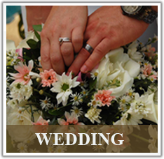 Wedding Photo Gallery